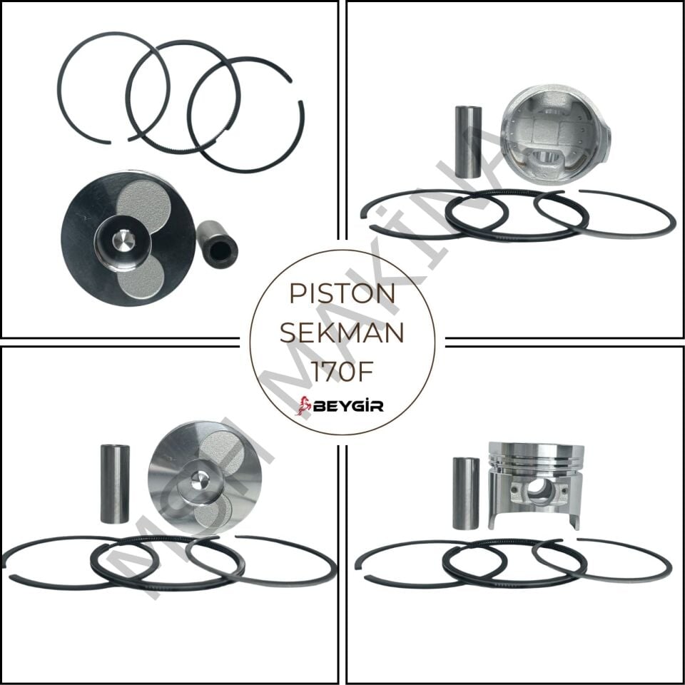 PİSTON SEKMAN 170F STD.