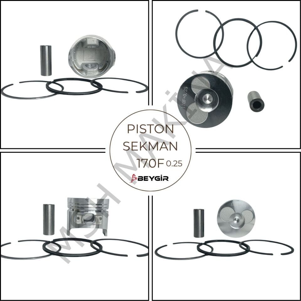 PİSTON SEKMAN 170F- 0.25