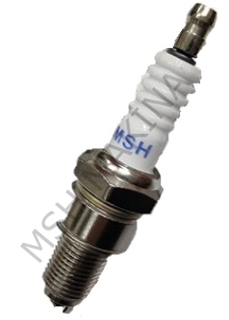 BUJİ 4 ZAMANLI UZUN PASO